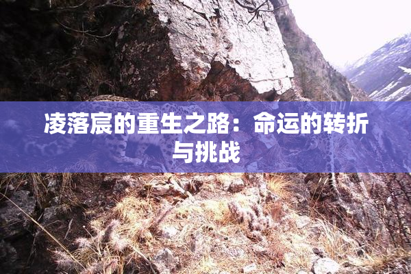 凌落宸的重生之路：命运的转折与挑战