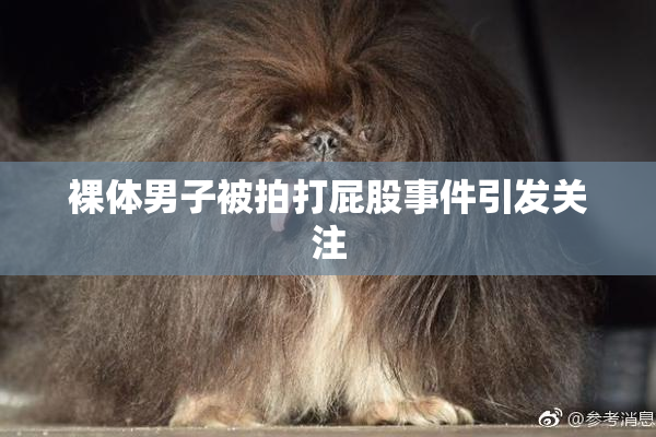 裸体男子被拍打屁股事件引发关注