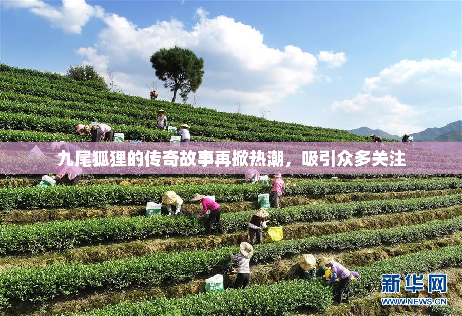 九尾狐狸的传奇故事再掀热潮，吸引众多关注