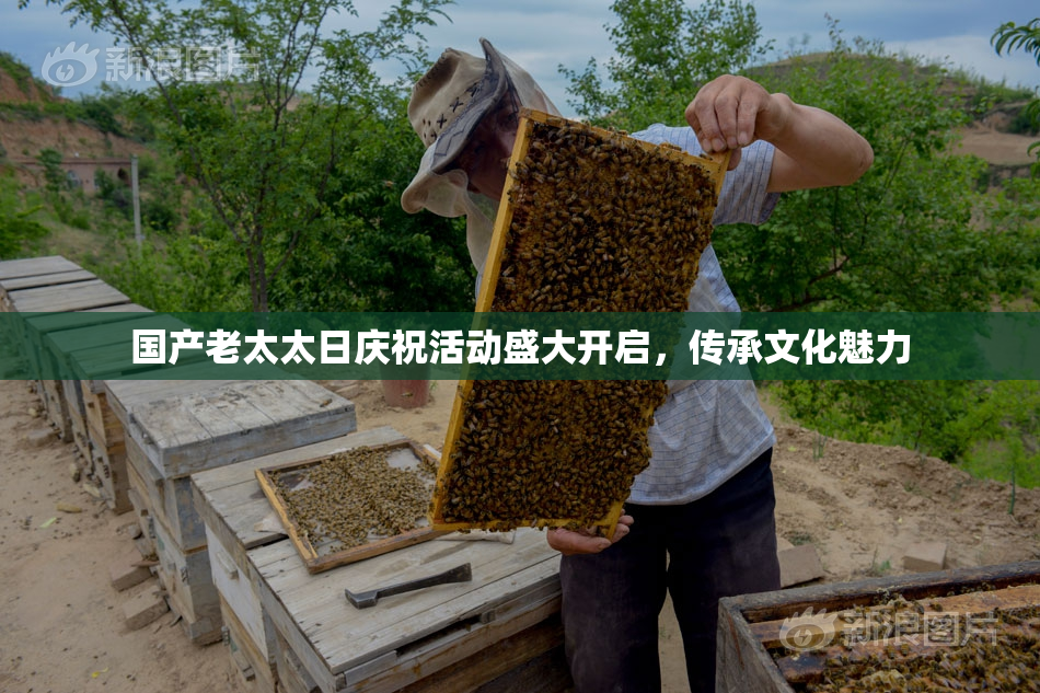 国产老太太日庆祝活动盛大开启，传承文化魅力