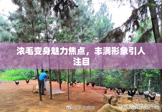 浓毛变身魅力焦点，丰满形象引人注目