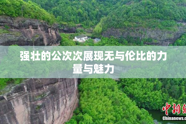 强壮的公次次展现无与伦比的力量与魅力