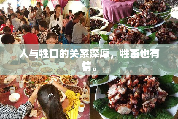 人与牲口的关系深厚，牲畜也有情。