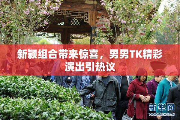 新颖组合带来惊喜，男男TK精彩演出引热议