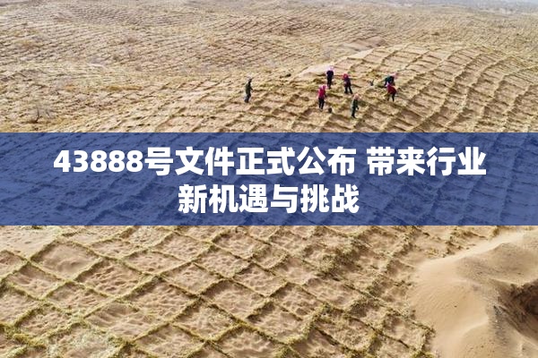43888号文件正式公布 带来行业新机遇与挑战