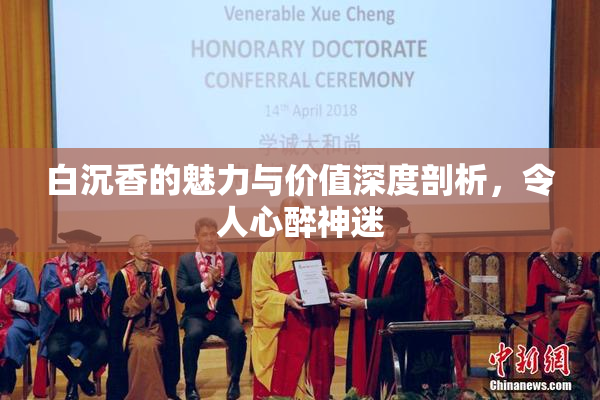 白沉香的魅力与价值深度剖析，令人心醉神迷