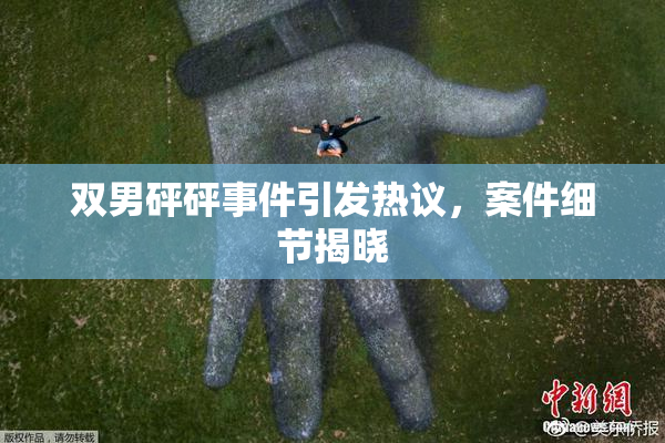 双男砰砰事件引发热议，案件细节揭晓