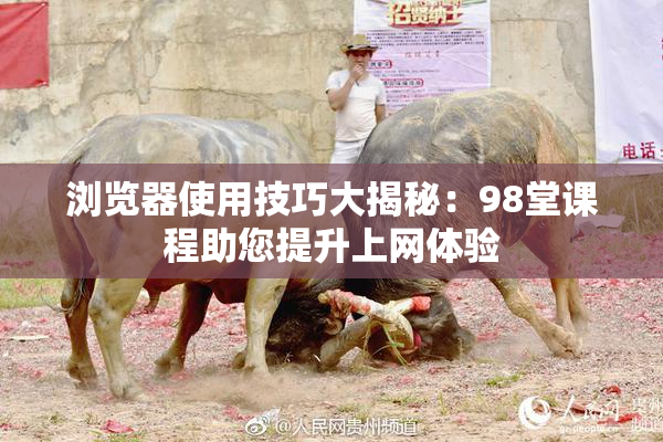 浏览器使用技巧大揭秘：98堂课程助您提升上网体验