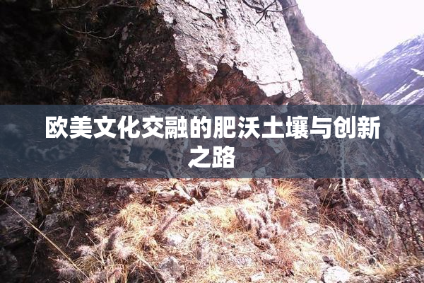 欧美文化交融的肥沃土壤与创新之路