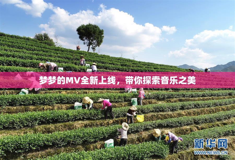 梦梦的MV全新上线，带你探索音乐之美