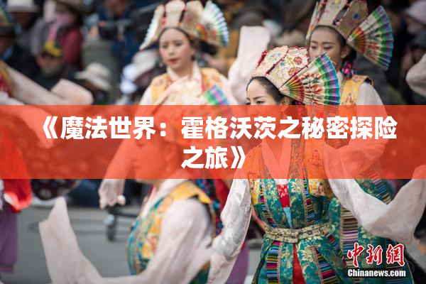 《魔法世界：霍格沃茨之秘密探险之旅》