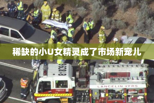 稀缺的小U女精灵成了市场新宠儿