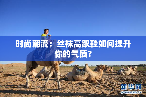 时尚潮流：丝袜高跟鞋如何提升你的气质？