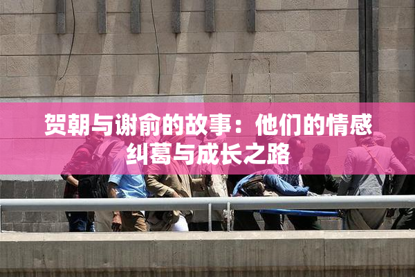 贺朝与谢俞的故事：他们的情感纠葛与成长之路