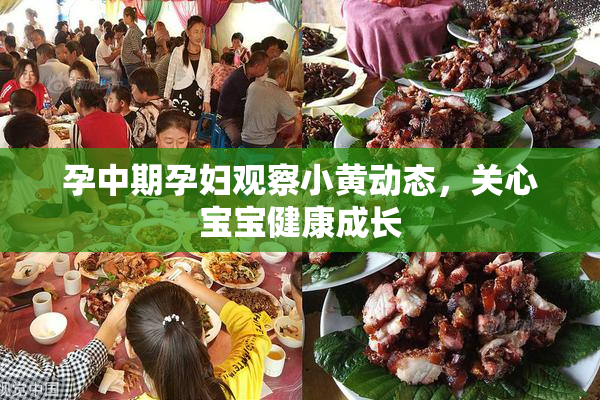 孕中期孕妇观察小黄动态，关心宝宝健康成长