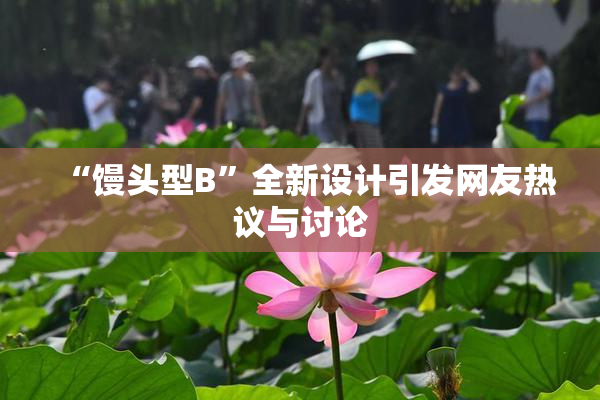 “馒头型B”全新设计引发网友热议与讨论