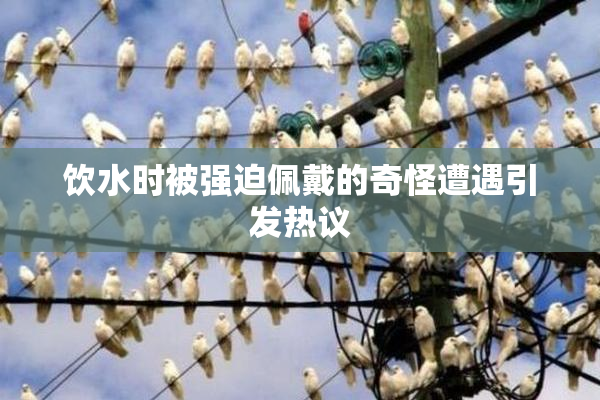 饮水时被强迫佩戴的奇怪遭遇引发热议