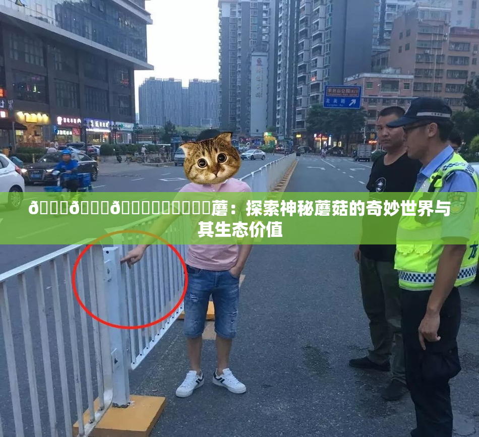 🍆🍑🔞❌‌❌‌❌‌蘑：探索神秘蘑菇的奇妙世界与其生态价值
