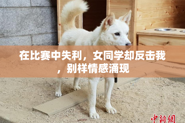 在比赛中失利，女同学却反击我，别样情感涌现