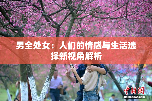 男全处女：人们的情感与生活选择新视角解析