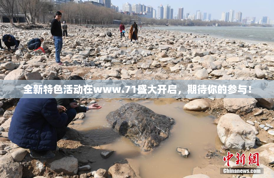 全新特色活动在www.71盛大开启，期待你的参与！