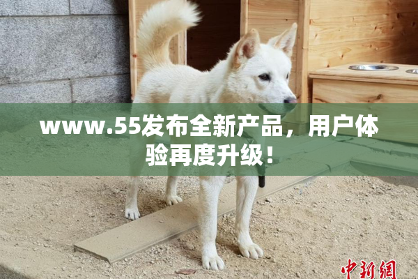 www.55发布全新产品，用户体验再度升级！