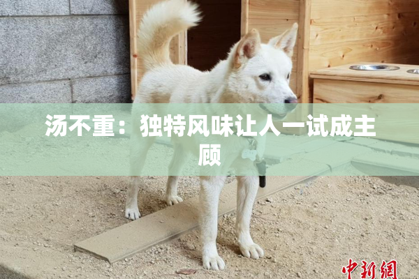 汤不重：独特风味让人一试成主顾