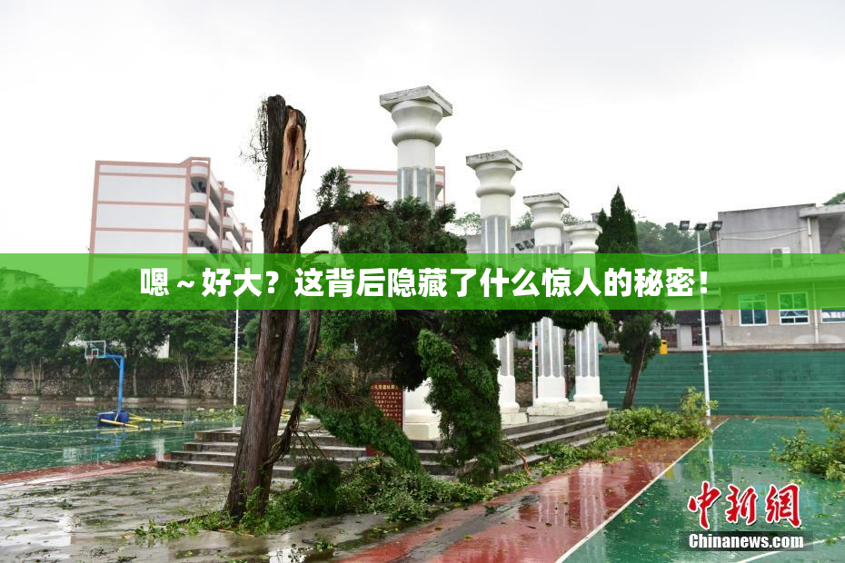 嗯～好大？这背后隐藏了什么惊人的秘密！