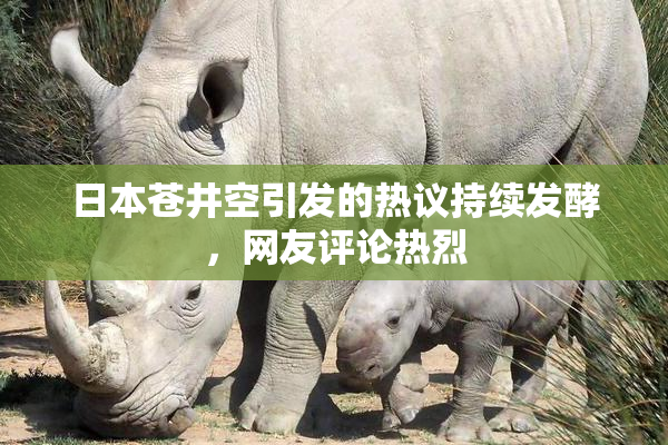 日本苍井空引发的热议持续发酵，网友评论热烈