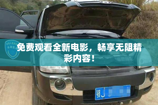 免费观看全新电影，畅享无阻精彩内容！