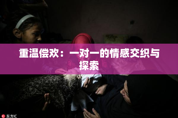 重温偿欢：一对一的情感交织与探索
