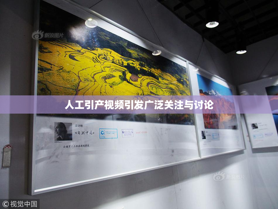 人工引产视频引发广泛关注与讨论