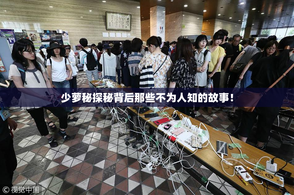 少萝秘探秘背后那些不为人知的故事！