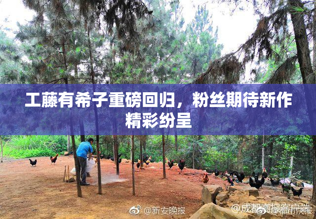 工藤有希子重磅回归，粉丝期待新作精彩纷呈