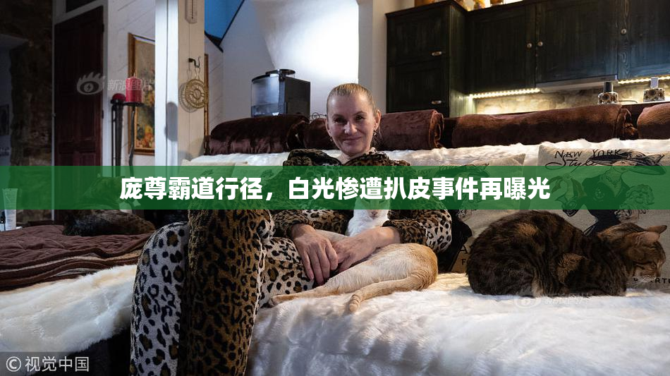 庞尊霸道行径，白光惨遭扒皮事件再曝光