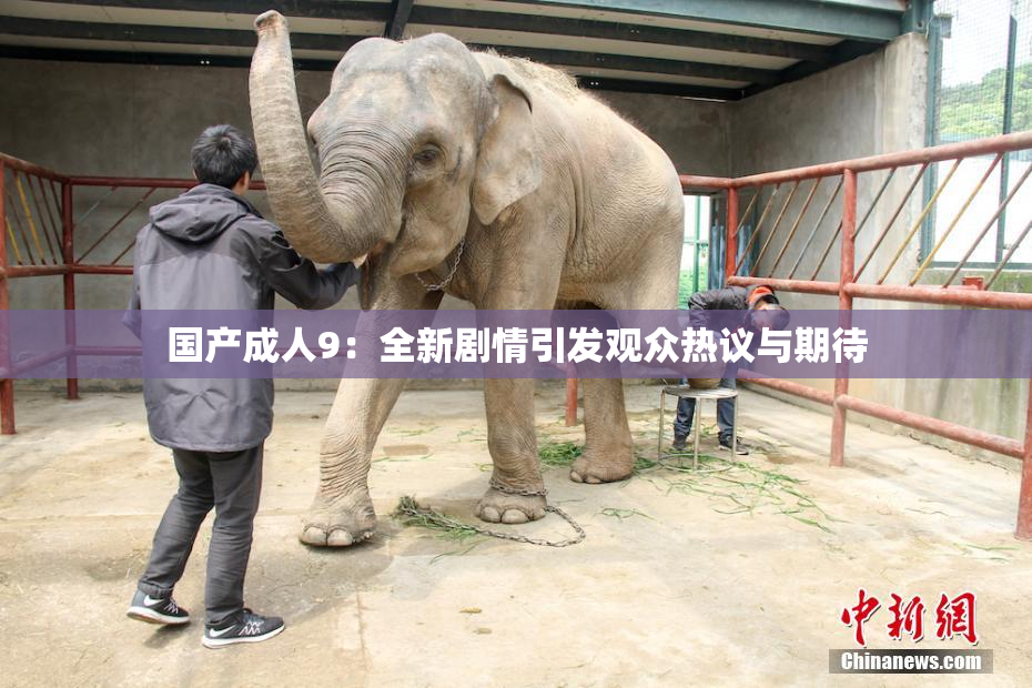 国产成人9：全新剧情引发观众热议与期待