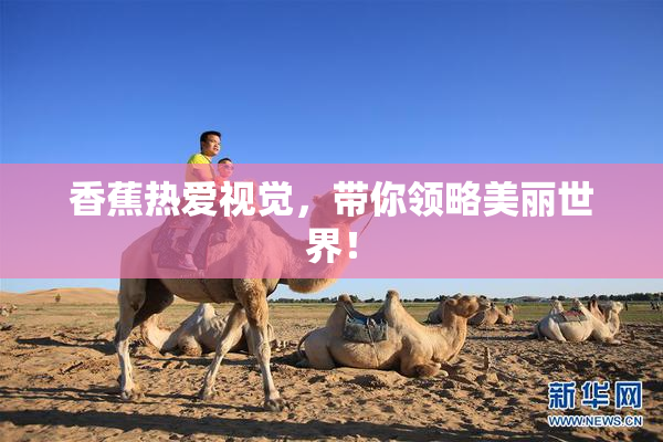 香蕉热爱视觉，带你领略美丽世界！