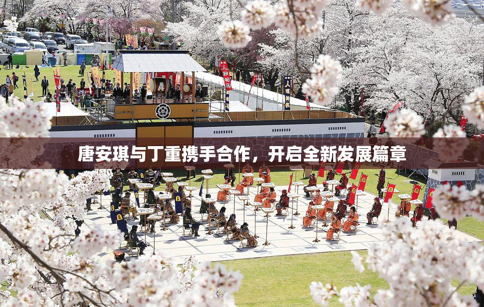 唐安琪与丁重携手合作，开启全新发展篇章