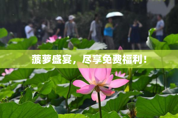 菠萝盛宴，尽享免费福利！
