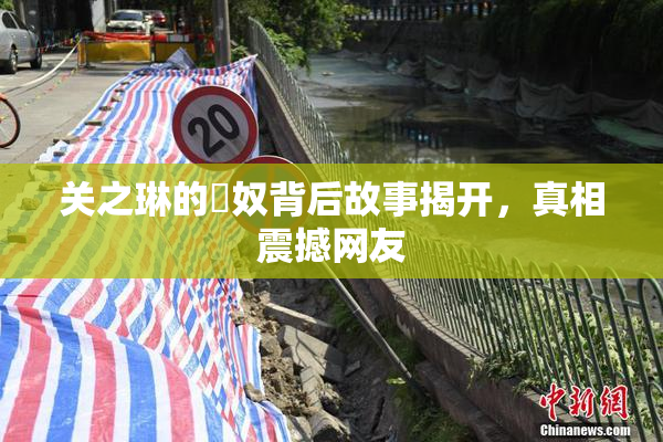 关之琳的婬奴背后故事揭开，真相震撼网友