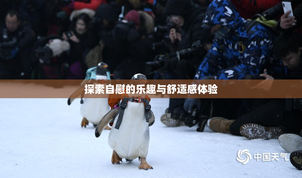 探索自慰的乐趣与舒适感体验