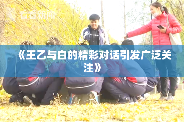 《王乙与白的精彩对话引发广泛关注》