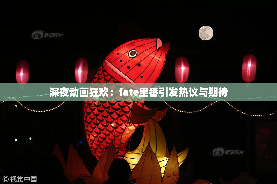 深夜动画狂欢：fate里番引发热议与期待