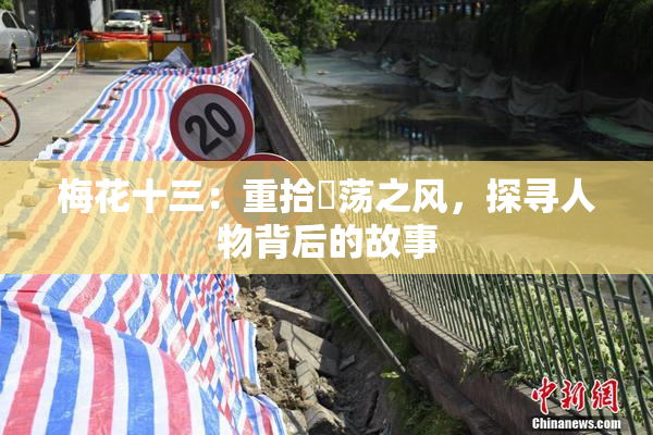 梅花十三：重拾婬荡之风，探寻人物背后的故事