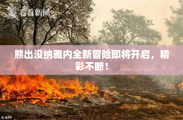 熊出没纳雅内全新冒险即将开启，精彩不断！