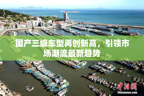 国产三级车型再创新高，引领市场潮流最新趋势