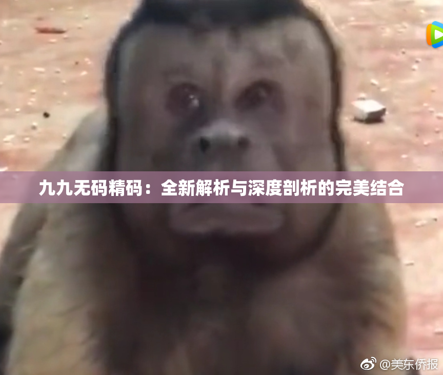 九九无码精码：全新解析与深度剖析的完美结合