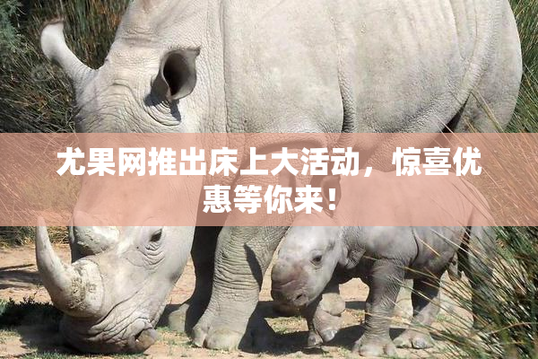 尤果网推出床上大活动，惊喜优惠等你来！