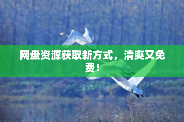 网盘资源获取新方式，清爽又免费！