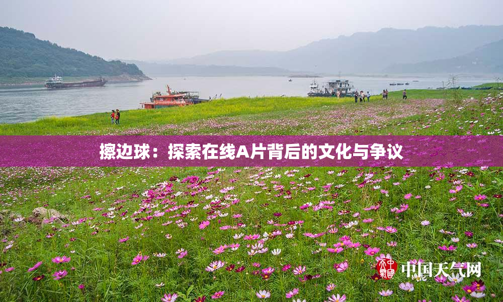 擦边球：探索在线A片背后的文化与争议